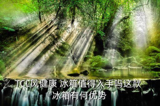 TCL風健康 冰箱值得入手嗎這款 冰箱有何優勢