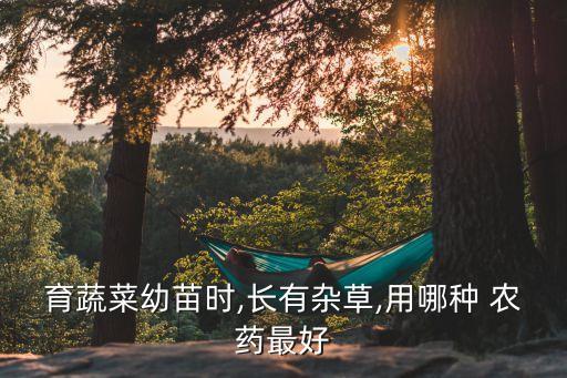 育蔬菜幼苗時(shí),長(zhǎng)有雜草,用哪種 農(nóng)藥最好