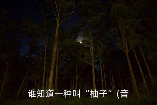 誰(shuí)知道一種叫“柚子”(音
