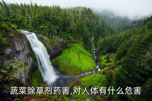 蔬菜除草劑藥害,對(duì)人體有什么危害