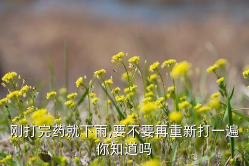 剛打完藥就下雨,要不要再重新打一遍你知道嗎