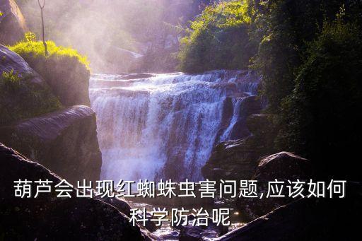 什么農(nóng)藥可以殺死水葫蘆,用什么藥能殺死水葫蘆