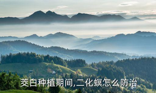  茭白種植期間,二化螟怎么防治
