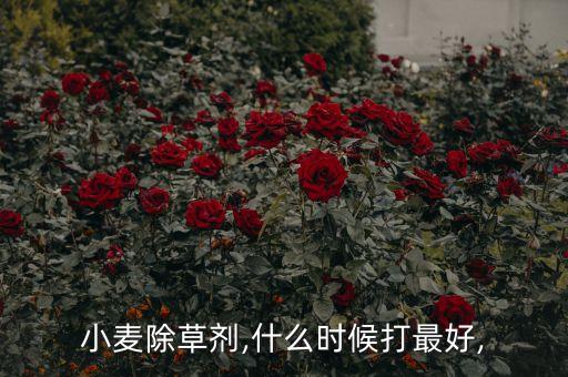 農(nóng)藥在作物什么階段打,農(nóng)藥用多了對作物有什么危害