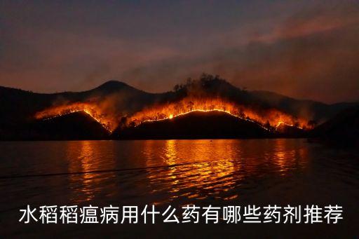 水稻要用什么農(nóng)藥,水稻用什么農(nóng)藥打卷葉蟲合穿心蟲