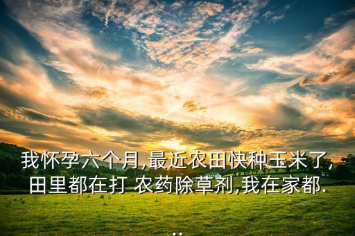 我懷孕六個月,最近農田快種玉米了,田里都在打 農藥除草劑,我在家都...