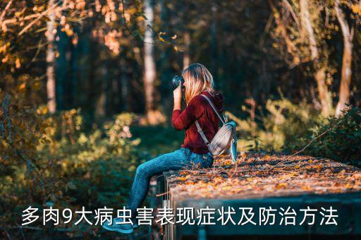 多肉9大病蟲害表現癥狀及防治方法