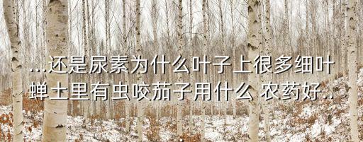 速可斃是什么農(nóng)藥,666粉是什么農(nóng)藥