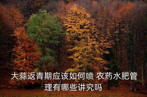  大蒜返青期應(yīng)該如何噴 農(nóng)藥水肥管理有哪些講究嗎