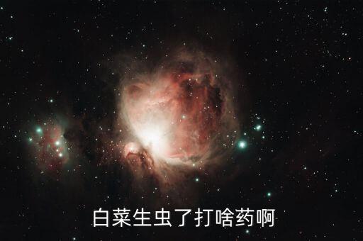 白菜綠蟲子用什么農藥,白菜里面的蟲子叫什么