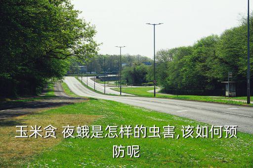 貪夜蛾用什么農藥治,夜蛾用什么農藥最好