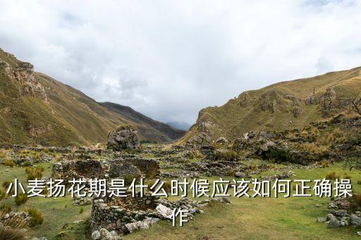 小麥揚花期是什么時候應該如何正確操作