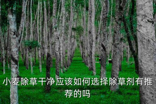 麥子打什么農藥最好,麥子需要打農藥嗎