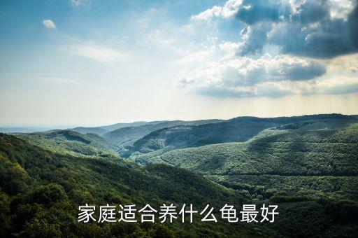 家庭適合養什么龜最好