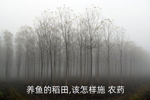  養(yǎng)魚的稻田,該怎樣施 農(nóng)藥