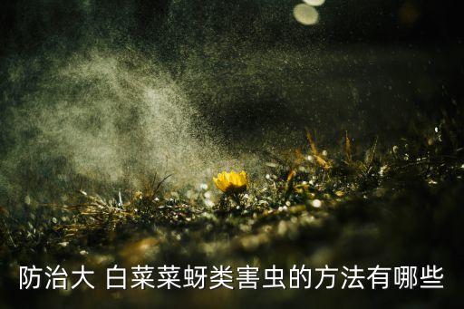 防治大 白菜菜蚜類害蟲的方法有哪些