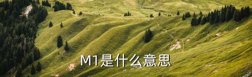 M1是什么意思