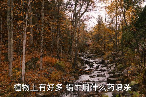 什么農(nóng)藥防治蝸牛,清除蝸牛用什么農(nóng)藥
