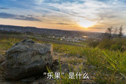 “樂果”是什么