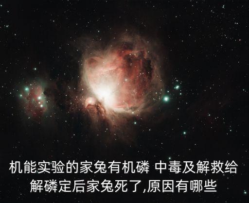 機能實驗的家兔有機磷 中毒及解救給解磷定后家兔死了,原因有哪些