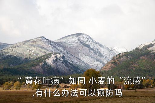 治小麥黃花病用什么農藥,高錳酸鉀可以治小麥什么病