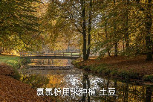 土豆都用什么農藥,土豆用什么除草劑