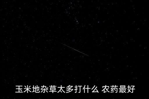 進口玉米打什么農藥,玉米用什么農藥