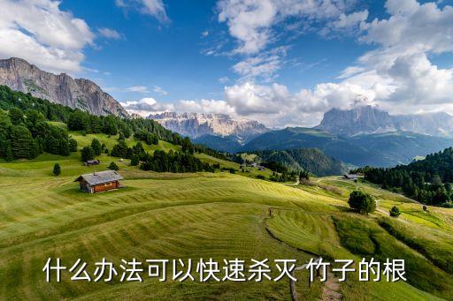 什么辦法可以快速殺滅 竹子的根