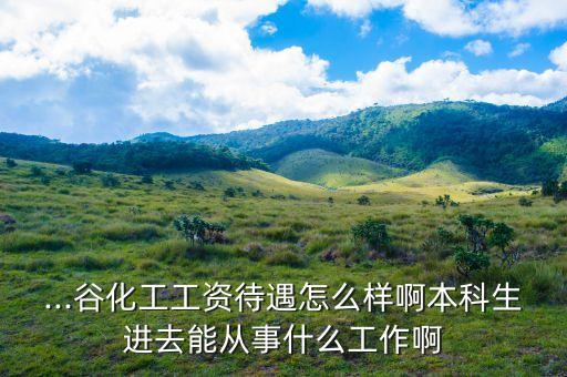 ...谷化工工資待遇怎么樣啊本科生進去能從事什么工作啊