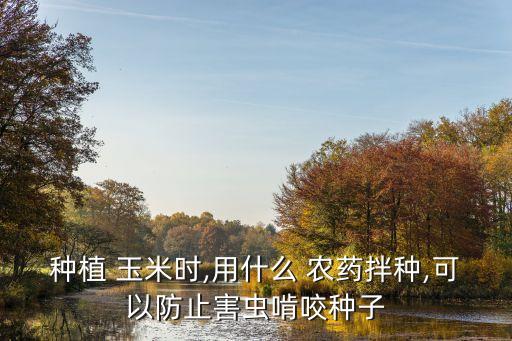 玉米需要噴什么農藥,玉米治蟲用什么農藥好