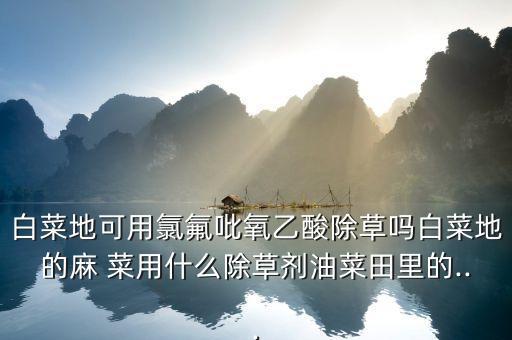 疙瘩菜用什么農藥,山東的疙瘩菜叫什么