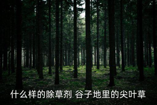 谷子用什么農(nóng)藥打最好,谷子種子什么品種最好