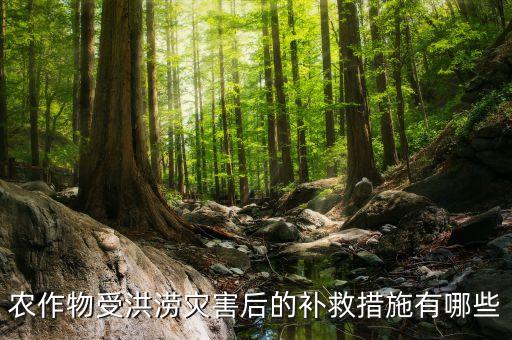 秋黃瓜打什么農(nóng)藥,黃瓜需要打農(nóng)藥嗎
