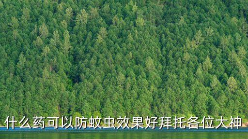 什么藥可以防蚊蟲效果好拜托各位大神