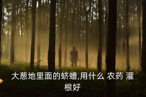 用什么農(nóng)藥灌根殺蟲,什么農(nóng)藥殺蟲效果好期又長