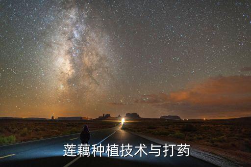  蓮藕種植技術與打藥