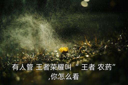 有人管 王者榮耀叫“ 王者 農藥”,你怎么看