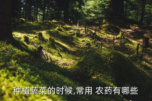 種大棚用什么農藥好,大棚打農藥什么時間打