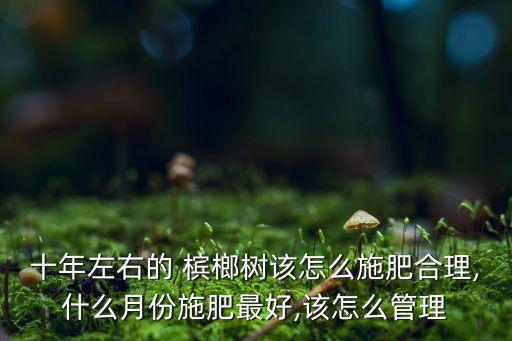 檳榔樹黃葉常打什么農藥,檳榔黃葉病什么農藥治好