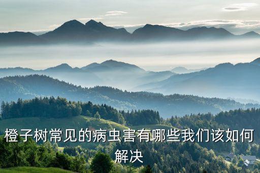 橙子樹常見的病蟲害有哪些我們該如何解決