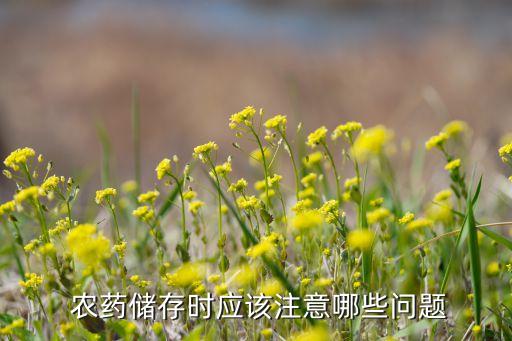 農藥搬運需要注意什么,使用農藥需要注意什么