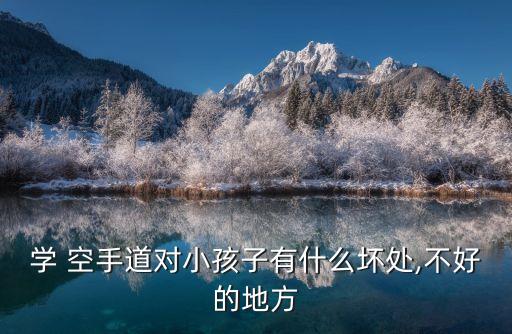 學 空手道對小孩子有什么壞處,不好的地方