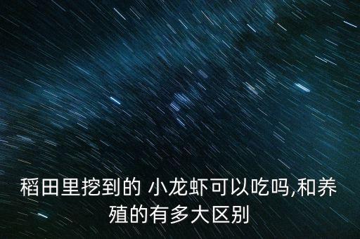 稻田里挖到的 小龍蝦可以吃嗎,和養殖的有多大區別