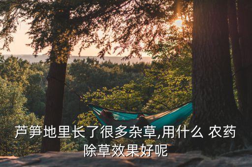 目前種什么農藥最好,炭疽病用什么農藥最好
