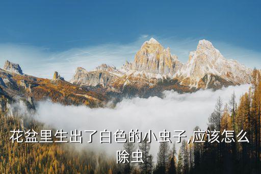 家中養(yǎng)花治蟲用什么農(nóng)藥,養(yǎng)花治蟲用什么藥水好