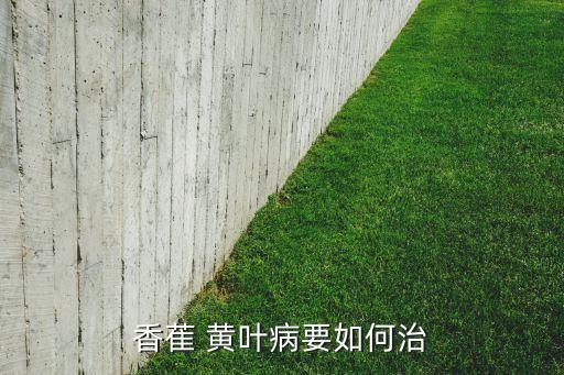 香萑 黃葉病要如何治