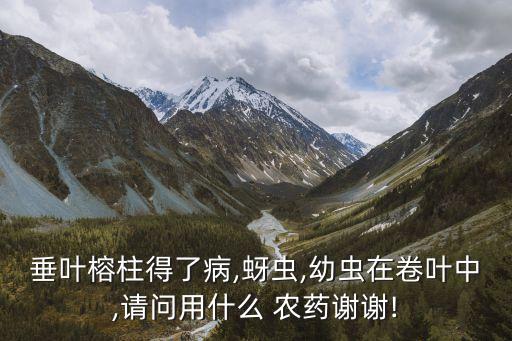 殺牙蟲的農藥叫什么名子,農藥牙蟲什么最好