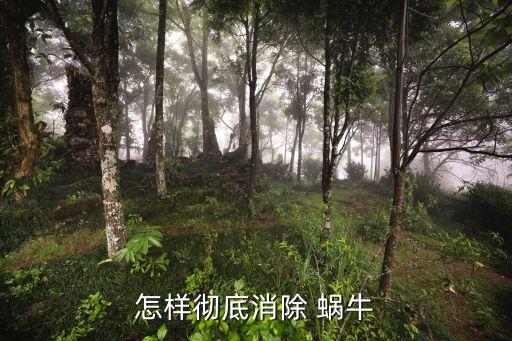 怎樣徹底消除 蝸牛