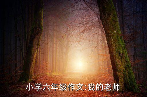 小學六年級作文:我的老師