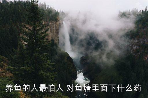 什么農藥對魚是致命的,喝什么農藥最致命